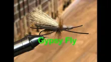 Video thumb for Gypsy Fly