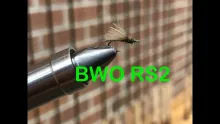 Video thumb for RS2 BWO