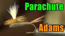 Video thumb for Parachute Adams