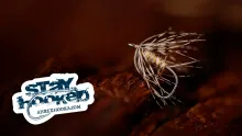 Video thumb for Partridge Spider