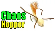 Video thumb for Chaos Hopper