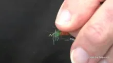 Video thumb for Shimmering Elk Hair Caddis