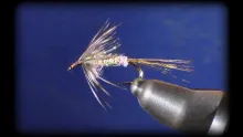 Video thumb for Shakey Beeley Slate Drake (Isonychia) Soft Hackle
