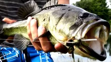 Video thumb for Florida bass fishing durring Hurricane Isaac 