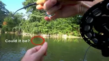 Video thumb for Guadelupe River Fly Fishing