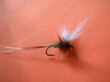 User submitted picture: Mayfly immitation