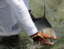 User submitted picture: Permit from Punta Allen t...