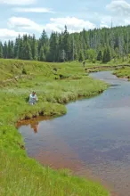 User submitted picture: www.tartaknadbobrem.com