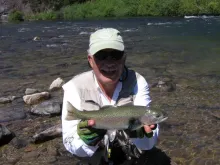 User submitted picture: Tambero veloz Daniel True...