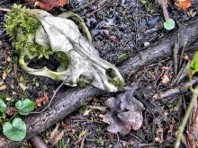 User submitted picture: ...from dust to dust...