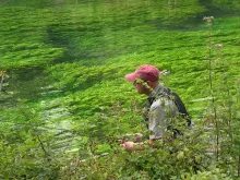 User submitted picture: Fishing a gin-clear strea...