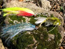 User submitted picture: PIKY FLIES ! by www.guide...