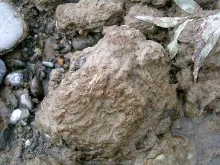 User submitted picture: Didymo (didymosphenia gem...