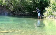 User submitted picture: Un caluroso dÃ­a para la p...