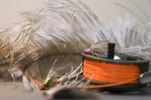 User submitted picture: Streamers