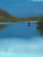 User submitted picture: Perfect solitude.