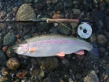 User submitted picture: Fall Rainbow