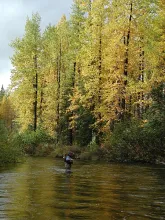 User submitted picture: The Presentation- Another...