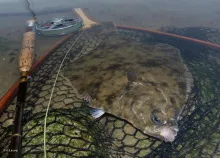 User submitted picture: The flounder 