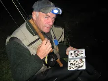 User submitted picture: A difficult choice... wha...