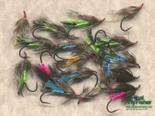 Computer screen wallpaper: More Rats than you can use