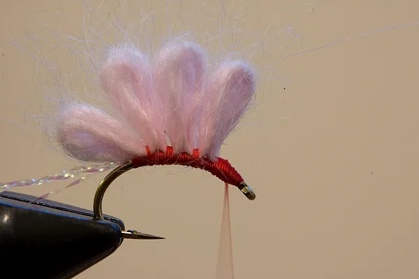 User submitted picture: Pink Suckerspawn.  Used f...