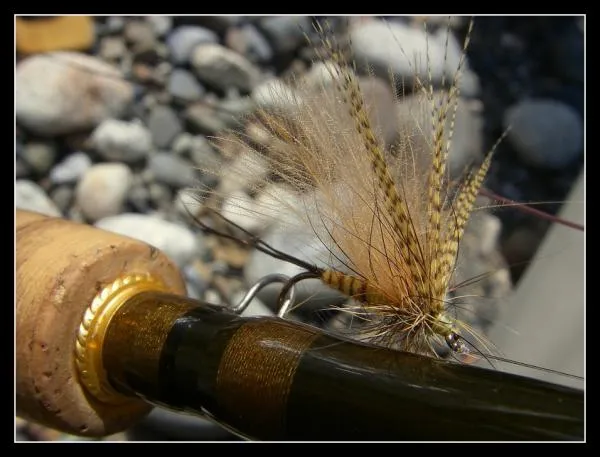 User submitted picture: Mouche de Mai #1
(May fl...