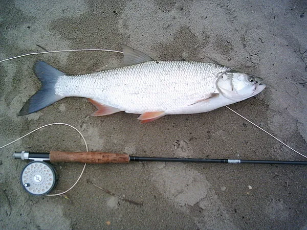 User submitted picture: Careful laydown after a n...