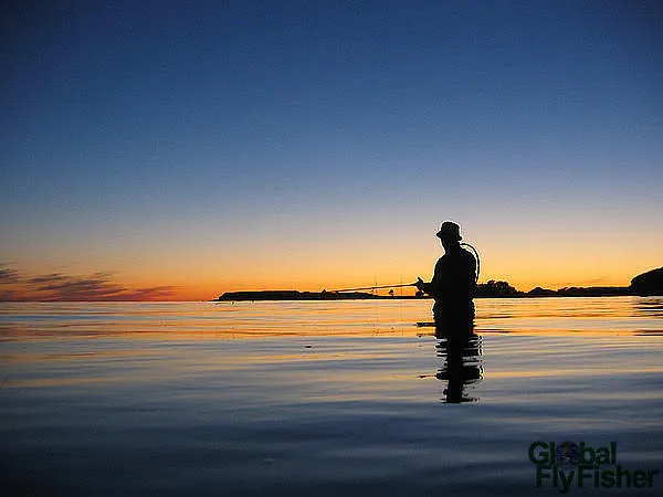 User submitted picture: Sunset fishing