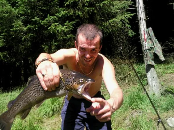 User submitted picture: one other fine fighting w...