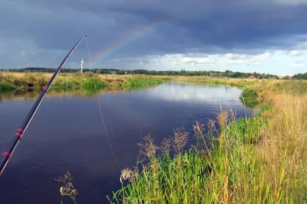 User submitted picture: SkjernÃ a nice salmonrive...