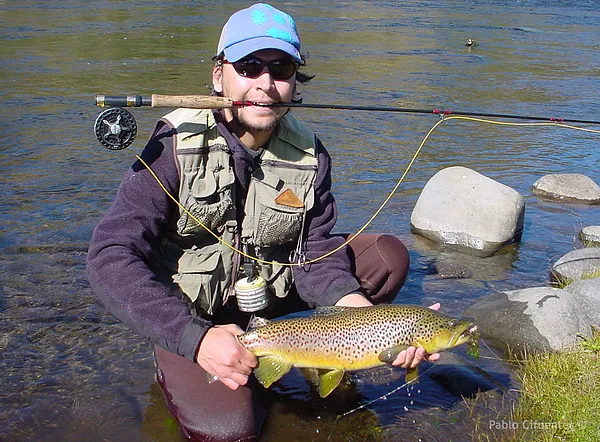 User submitted picture: Brown trout landed on a d...