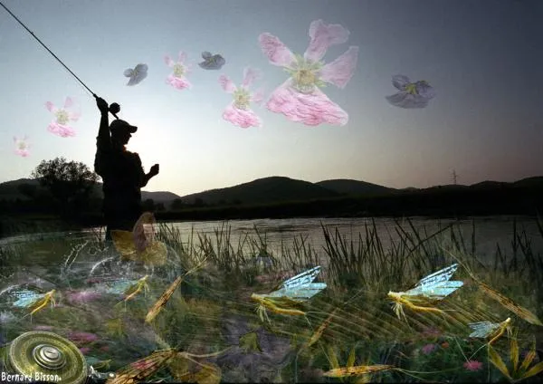 User submitted picture: This image is the result ...