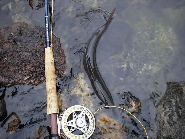 User submitted picture: C&R, but first-say cheese