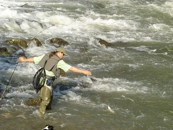 User submitted picture: Asp Catch