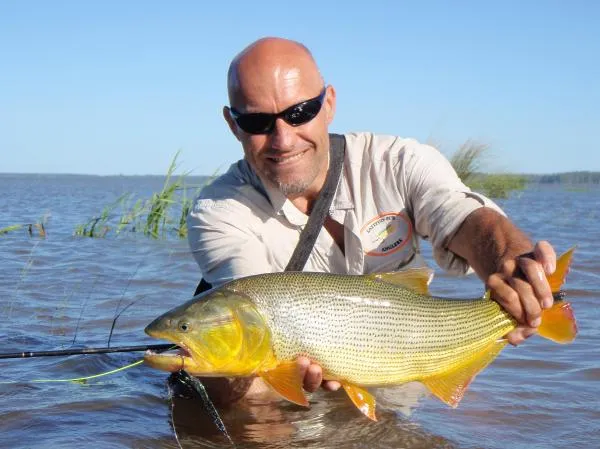 User submitted picture: Airtemperature: 32°C...