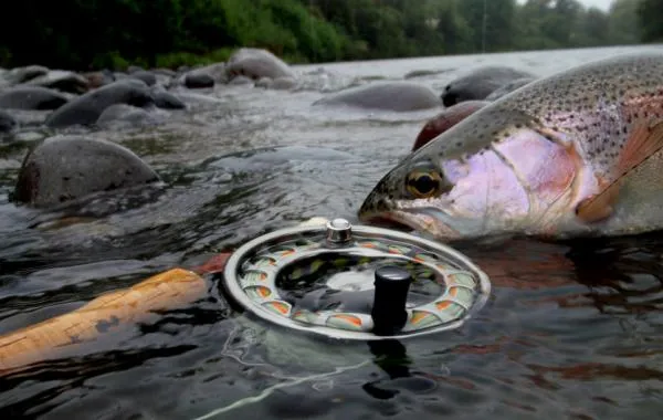 User submitted picture: "Rainbow" in the rain