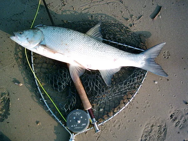 User submitted picture: On Saturday Morning