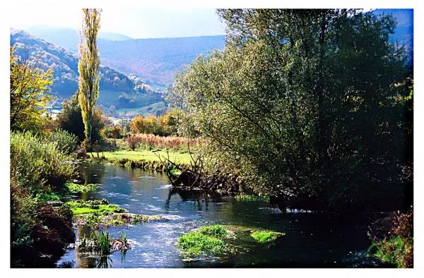 User submitted picture: Is it a dream or .......