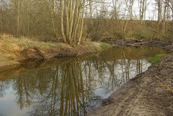 User submitted picture: Wall