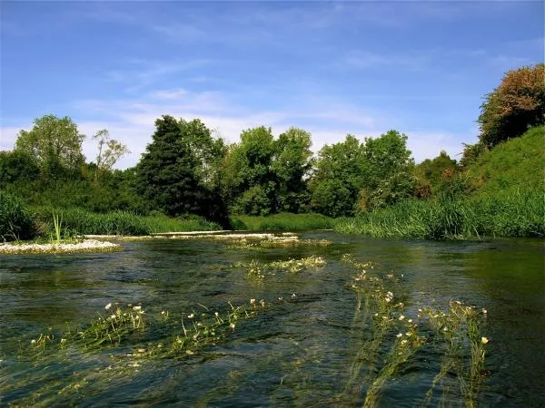 User submitted picture: Erne river near Gowna Irl...