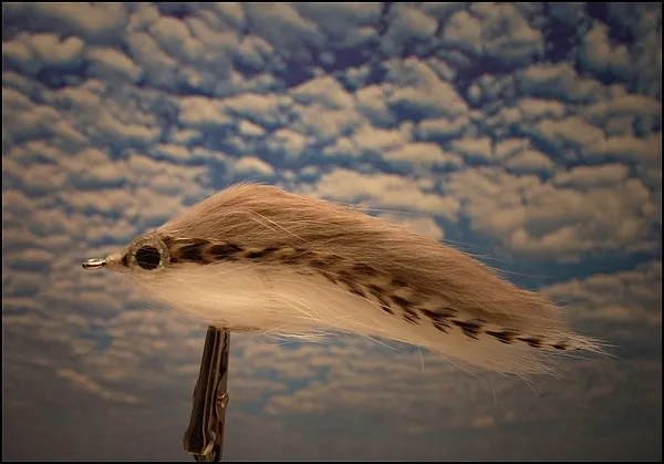 User submitted picture: Back to simple materials.