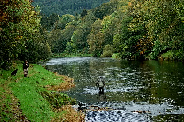 User submitted picture: Salmon fishing