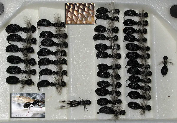 User submitted picture: Ant imitations fishing ba...