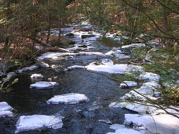 User submitted picture: Small Stream Winter Fishi...