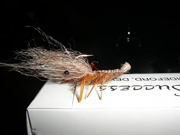 User submitted picture: NICE FLY, very famous at ...