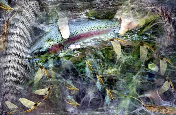 User submitted picture: This image is the result ...