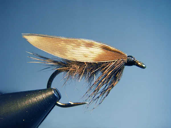 User submitted picture: March Brown wetfly #10