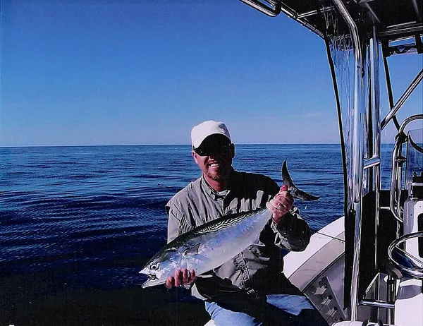 User submitted picture: A nice fly caught False A...