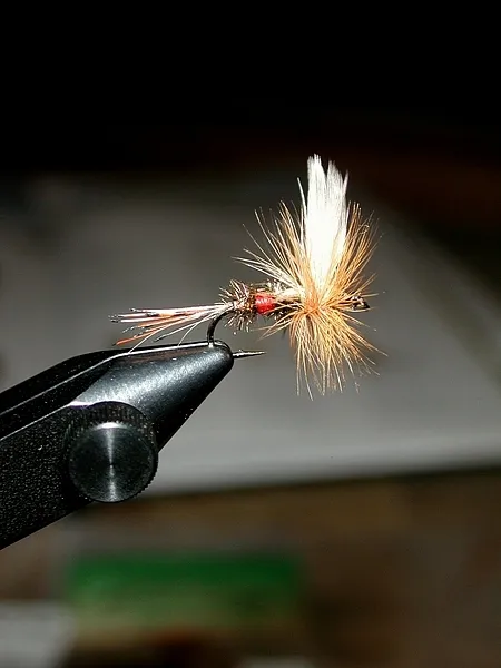 User submitted picture: #14 Royal Coachman. My se...